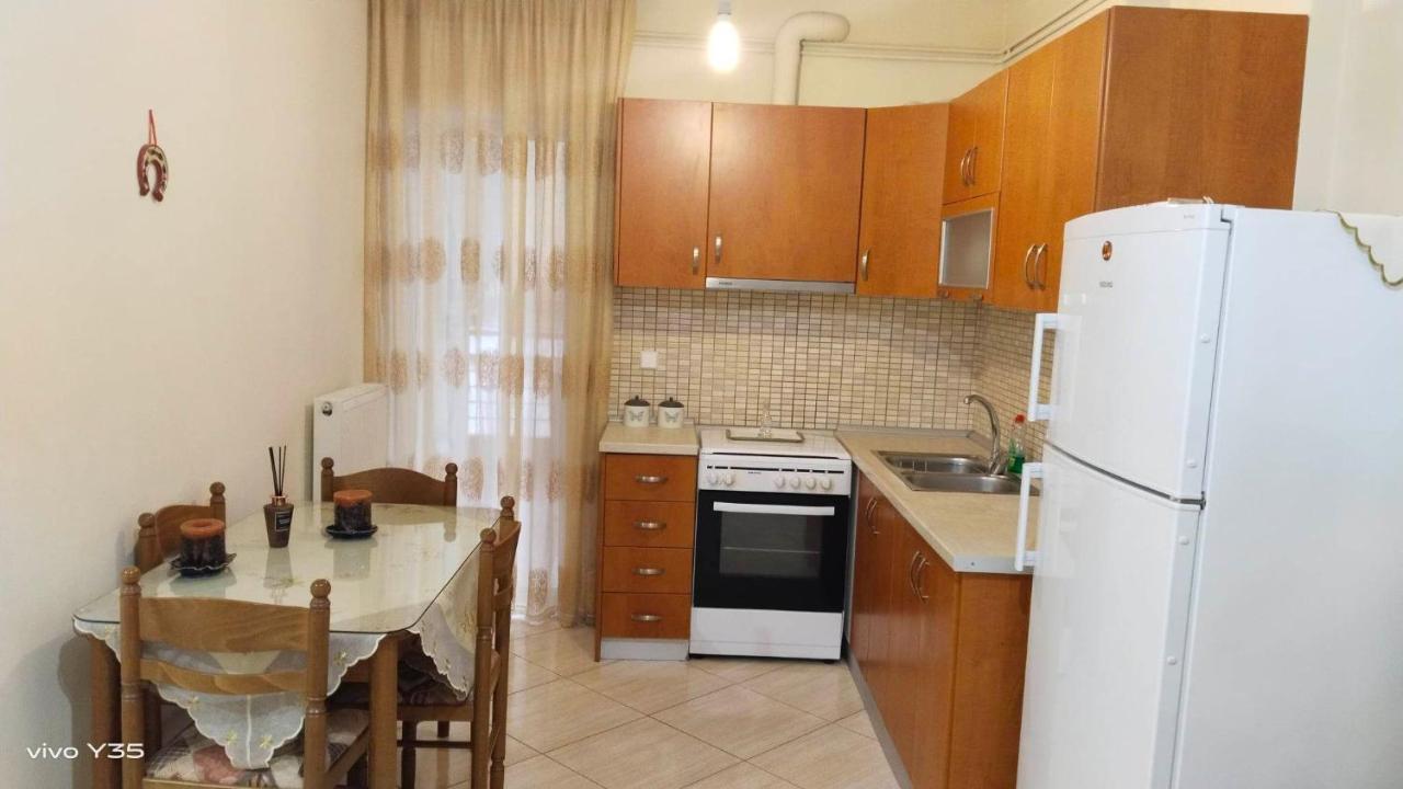 Ομορφο Διαμερισμα Στο Κεντρο Της Πολης Με Παρκιν Tríkala Exterior foto